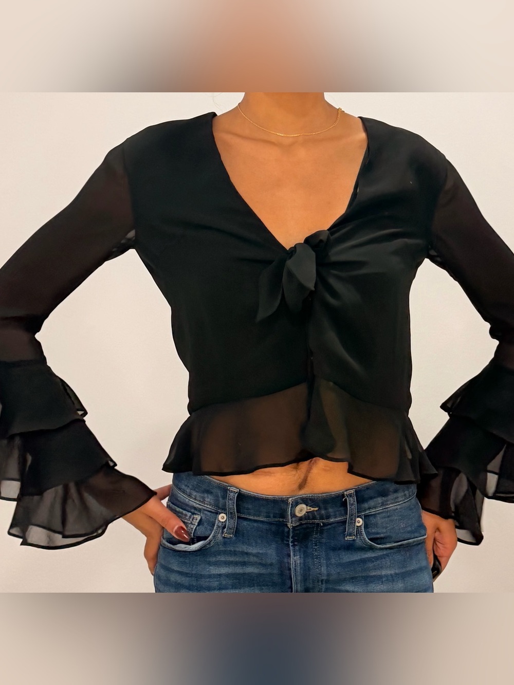 TULAROSA Black Sheer Tie Front Blouse XS
